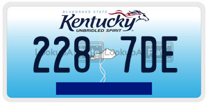2287DE  license plate in KY