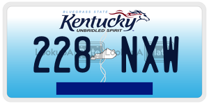 228NXW  license plate in KY