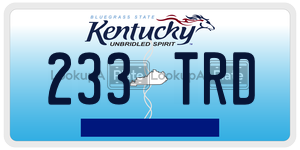 233TRD  license plate in KY