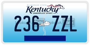 236ZZL  license plate in KY