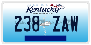 238ZAW  license plate in KY