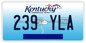 239YLA  license plate in KY