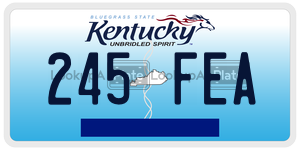 245FEA  license plate in KY