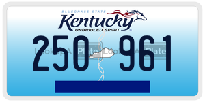 250961  license plate in KY