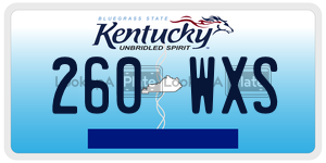 260WXS  license plate in KY