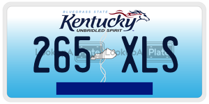 265XLS  license plate in KY