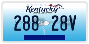 28828V  license plate in KY