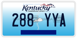 288YYA  license plate in KY