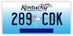 289CDK  license plate in KY