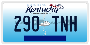 290TNH license plate in Kentucky