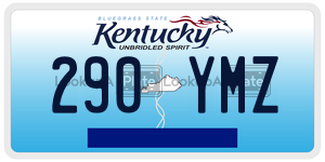 290YMZ  license plate in KY