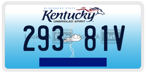 29381V  license plate in KY