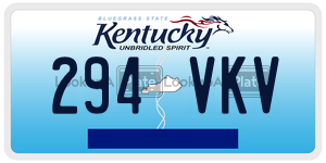 294VKV  license plate in KY