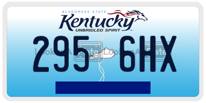 2956HX  license plate in KY
