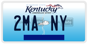 2MANY  license plate in KY