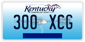 300XCG  license plate in KY