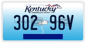 30296V  license plate in KY