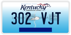 302VJT  license plate in KY