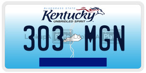 303MGN license plate in Kentucky