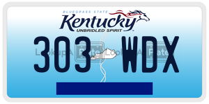 303WDX  license plate in KY