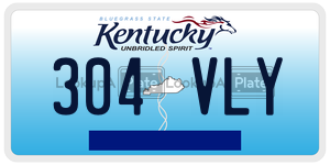 304VLY  license plate in KY