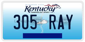 305RAY  license plate in KY
