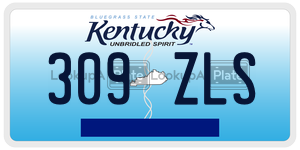 309ZLS  license plate in KY