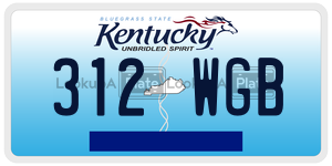 312WGB  license plate in KY