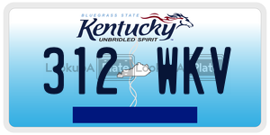 312WKV  license plate in KY
