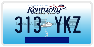 313YKZ  license plate in KY