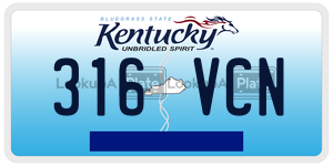 316VCN  license plate in KY