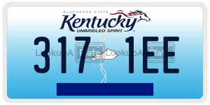 3171EE  license plate in KY