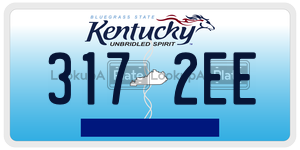 3172EE  license plate in KY