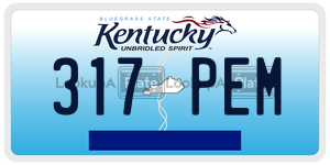 317PEM  license plate in KY
