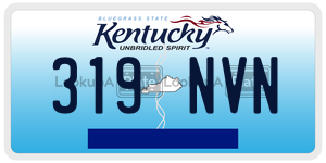 319NVN  license plate in KY