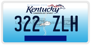 322ZLH  license plate in KY