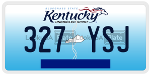 327YSJ  license plate in KY