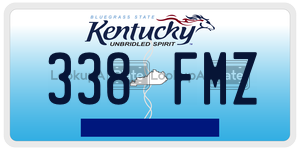 338FMZ  license plate in KY