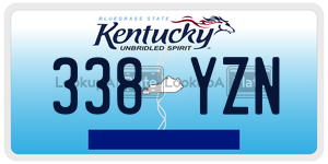 338YZN  license plate in KY