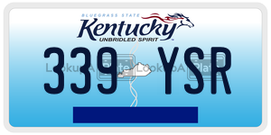 339YSR license plate in Kentucky