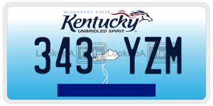 343YZM license plate in Kentucky