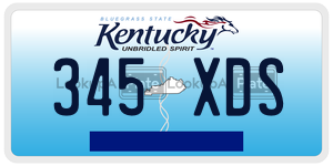 345XDS  license plate in KY