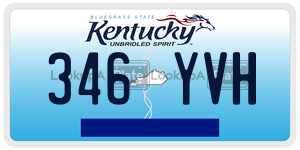346YVH  license plate in KY