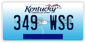 349WSG  license plate in KY