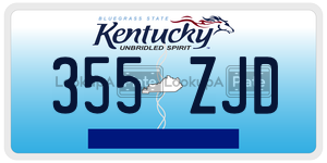 355ZJD  license plate in KY