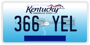 366YEL  license plate in KY