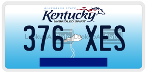 376XES  license plate in KY