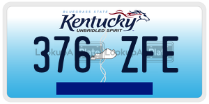 376ZFE  license plate in KY