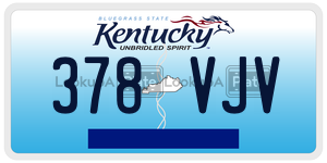 378VJV  license plate in KY