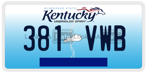 381VWB  license plate in KY